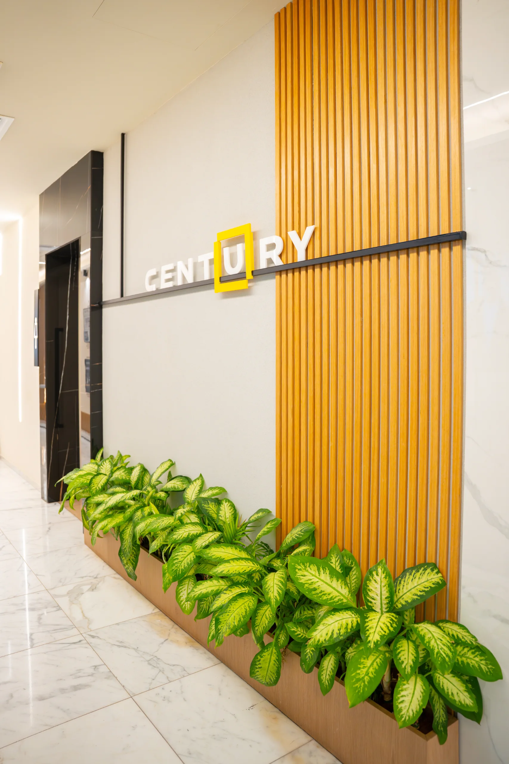 Century Logo — Gold Wall